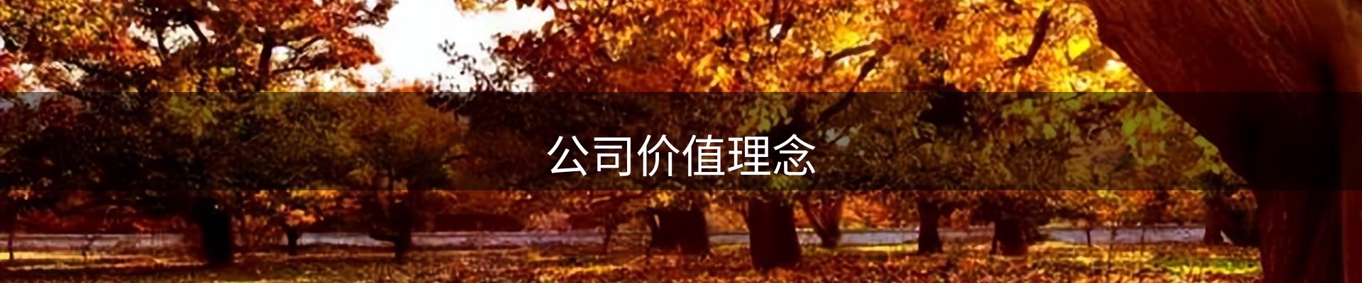 内页banner